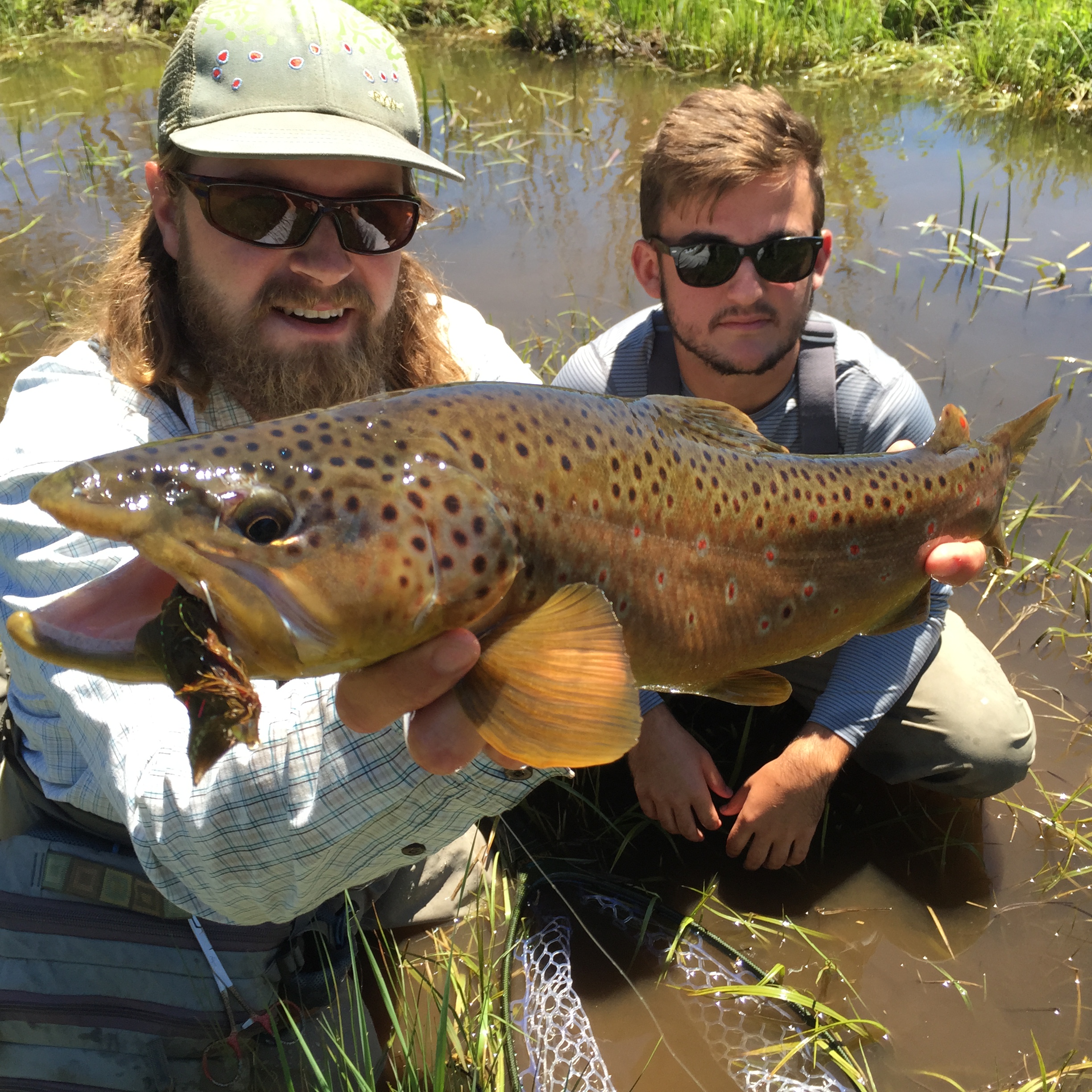 Estes Park Fly Fishing Fun Facts About Fly Fishing Kirks