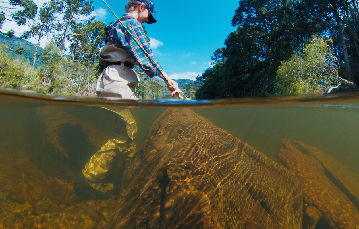 Women angler walks through a river with a brown, rocky river bottom