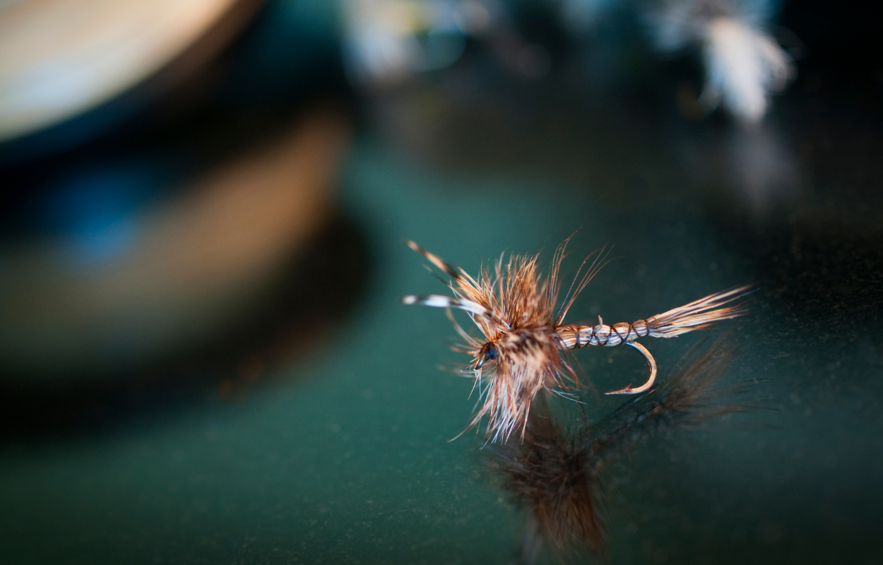 a single gray dry fly on a green table