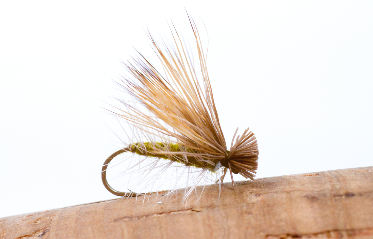 A single olive Elk Hair Caddis dry fly stuck in a cork