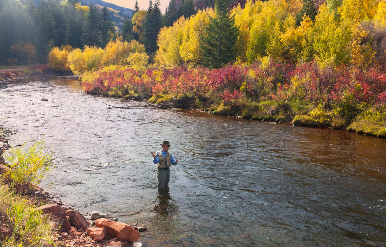 Man fly fishes in the Frying Pan River near Basalt, Colorado