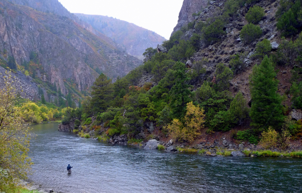13 Places to Fly Fish Colorado Kirks