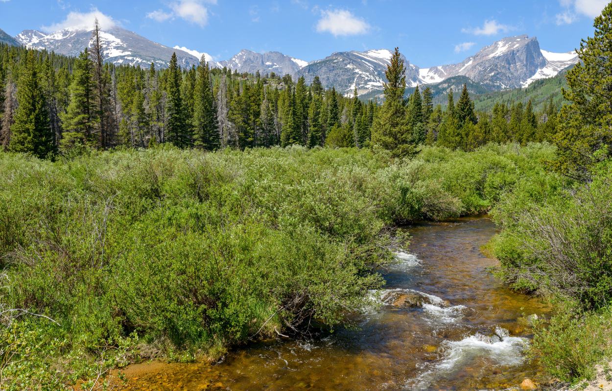 A clear creek meandering in a meadow beneath towering mountains