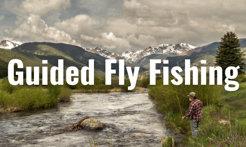 angler fly fishing on the big thompson river in rocky mountain national park