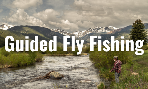 Fly Fishing Gift Cards & Certificates