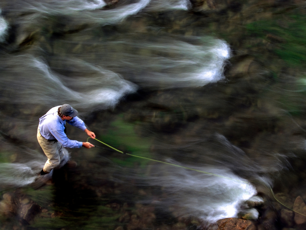 fly fisherman stands in clear river while casting to trout