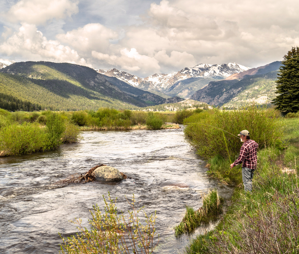 Guided Fly Fishing, Estes Park