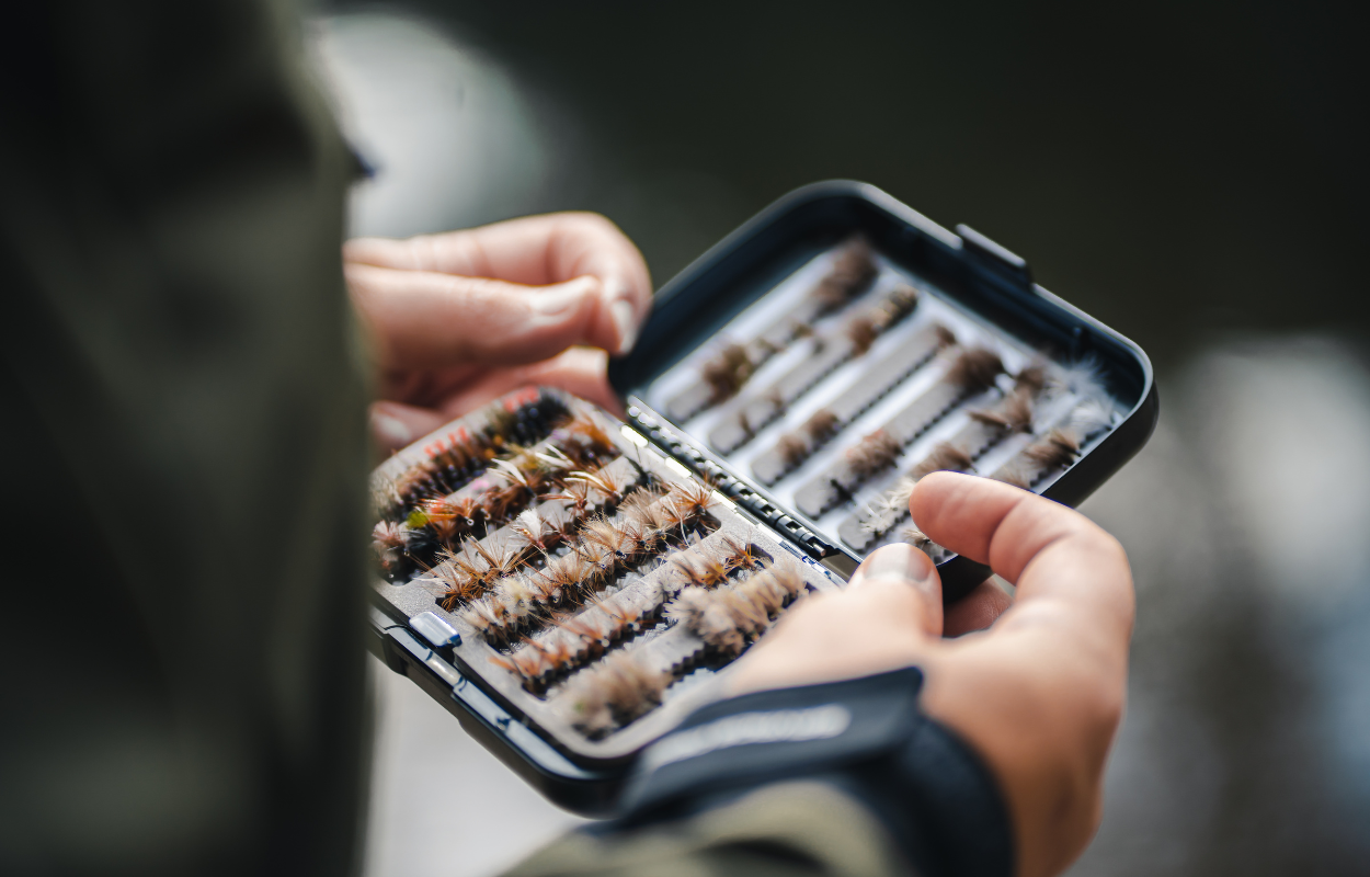 a fly box with dry flies for fly fishing