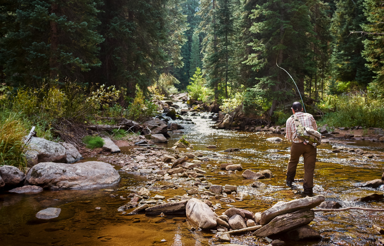 fly fisherman casting a fly fishing rod into a small stream in the mountains of Colorado