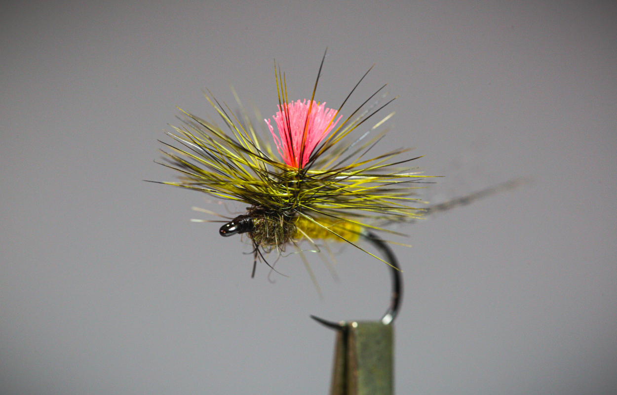 blue winged olive mayfly dry fly for fly fishing