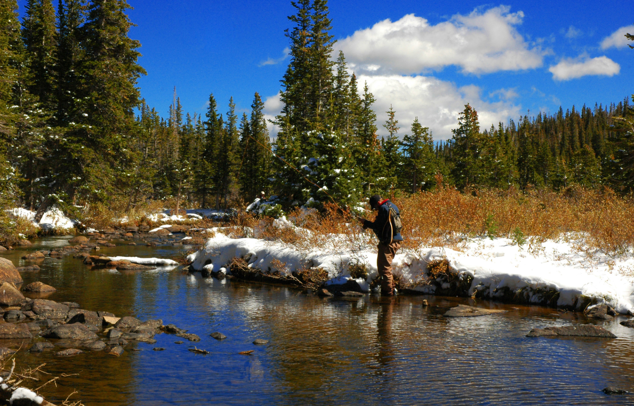 man fly fishes on a snowy bank on a spring day in Rocky Mountain National Park