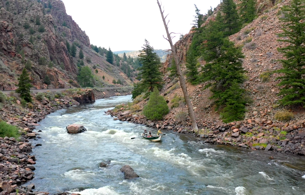 anglers float down the Colorado River on a fly fishing trip