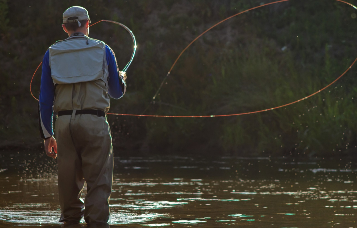 angler casts a fly line, forming a large loop in the air
