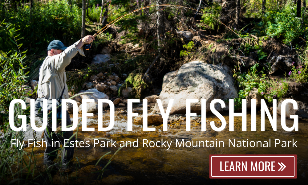 estes park guided fly fishing