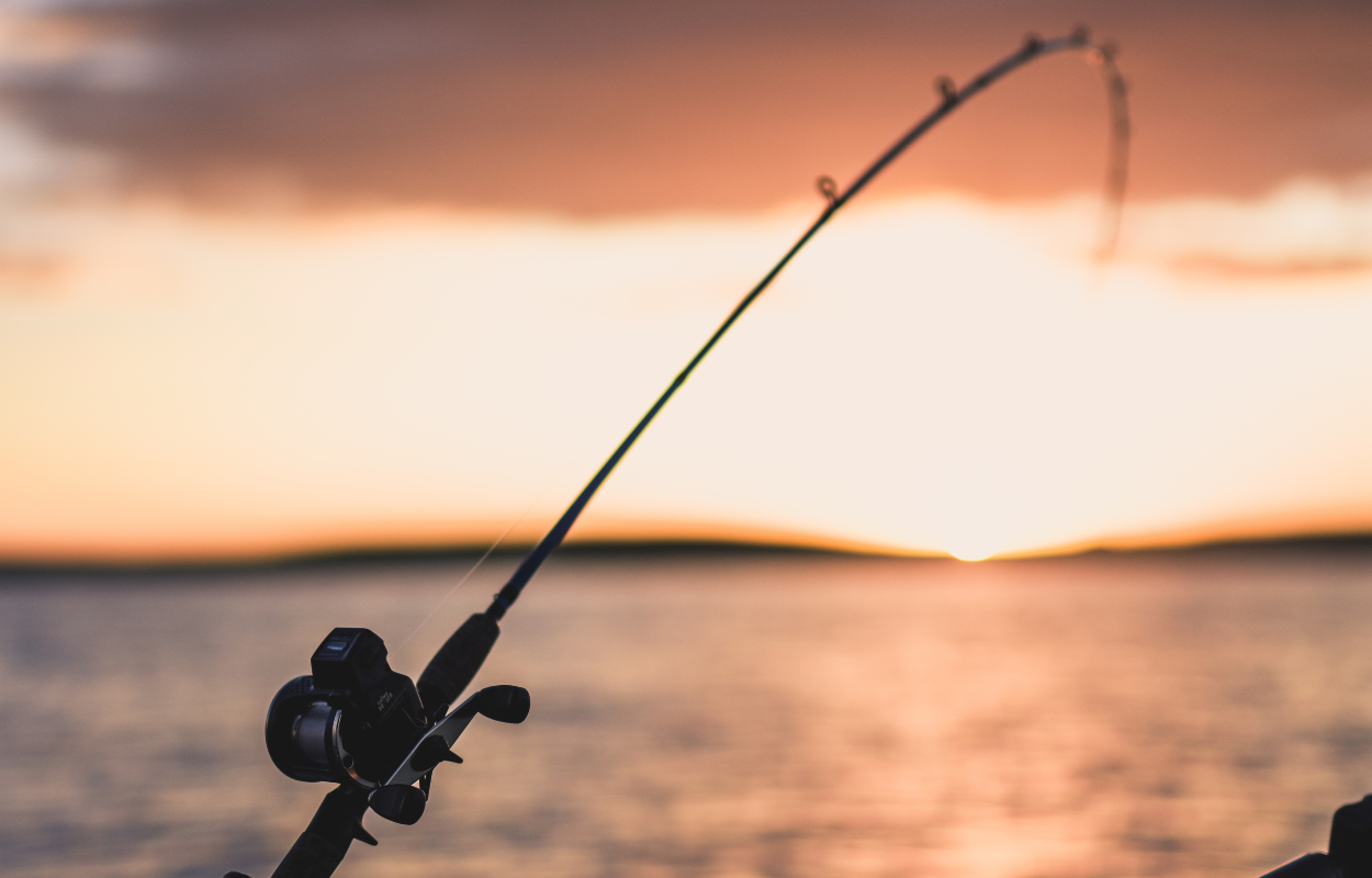 a fishing rod bent at sunrise