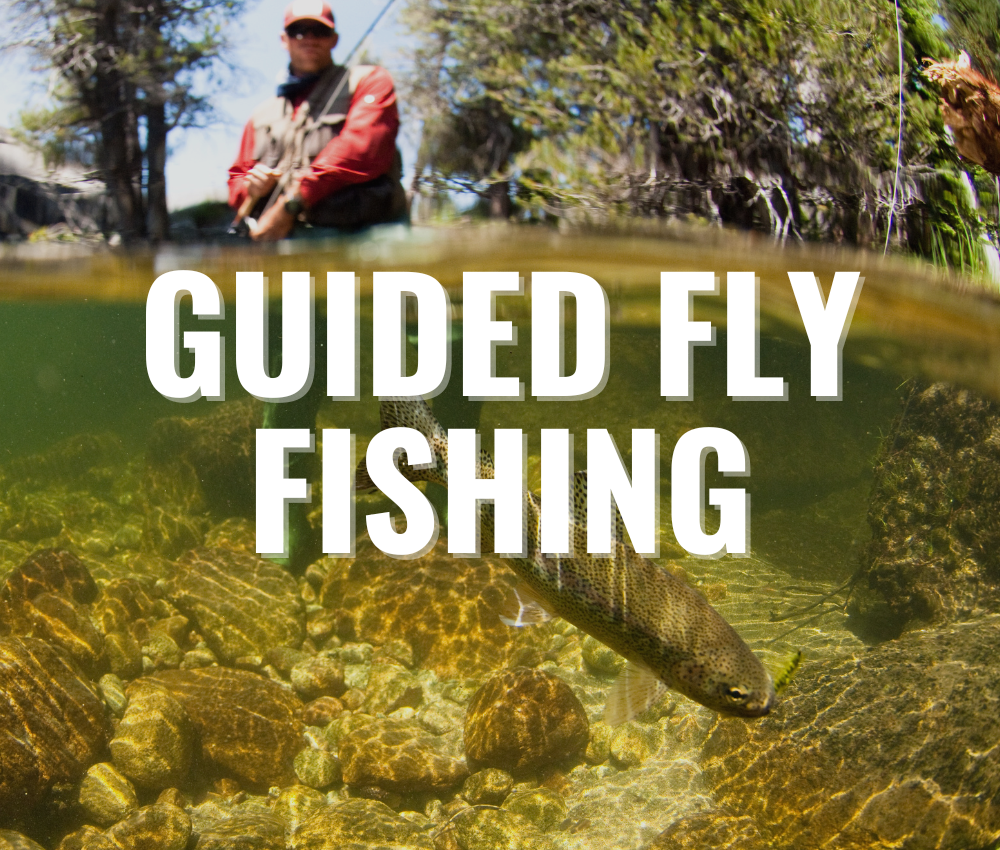 about guided fly fishing