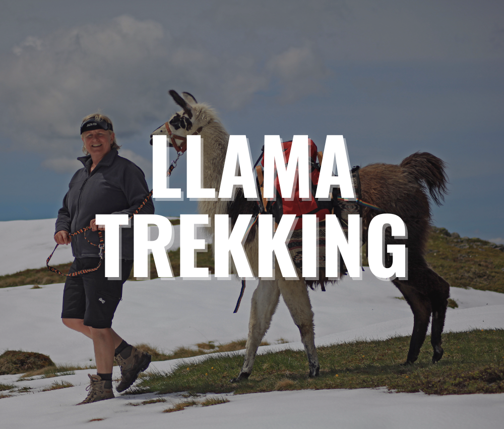 about llama trekking
