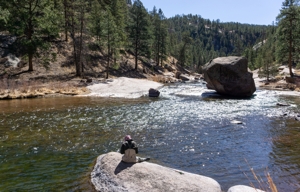 angler sits on a rock in cheesman canyon, colorado