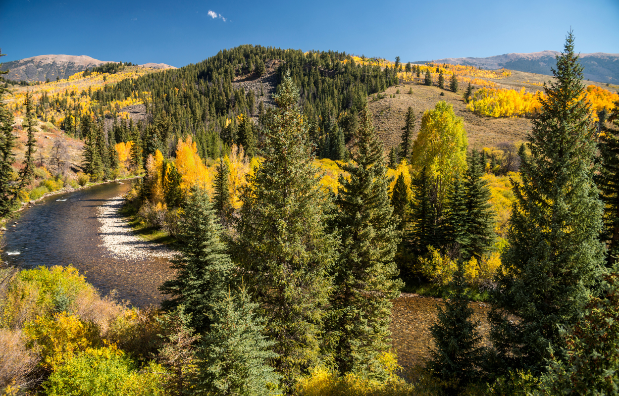 blue river, colorado in the fall time with yellow trees in the hills