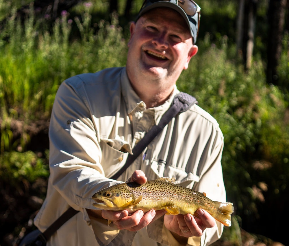 Darren and brown trout