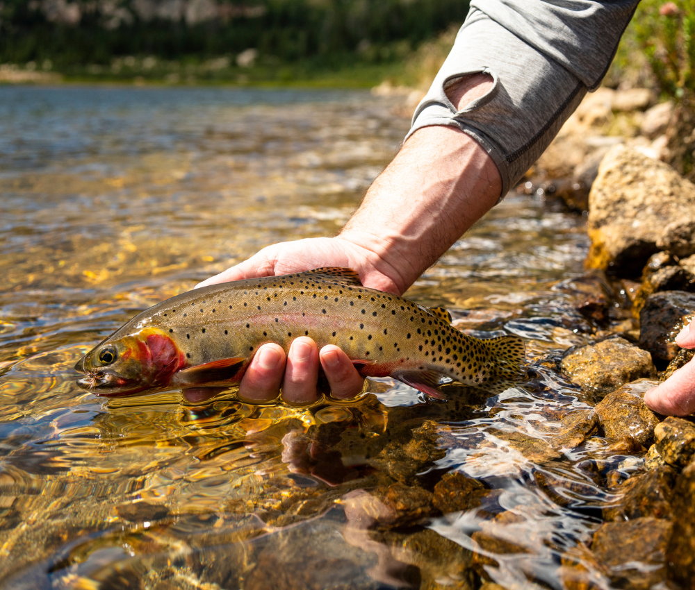 rocky mountain national park multi day camping trip