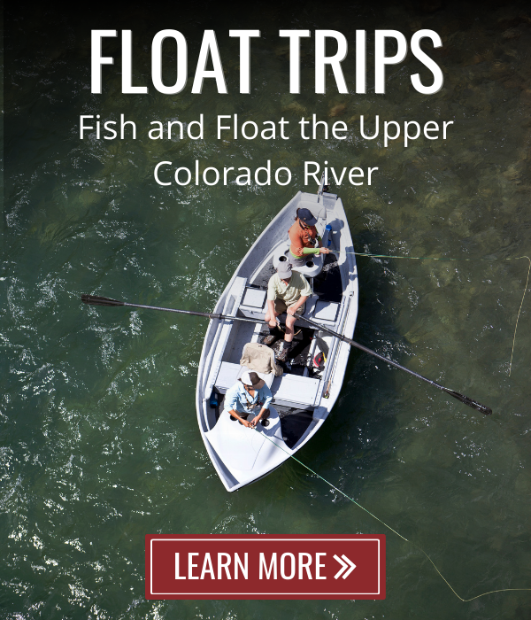 fly fishing colorado float trip