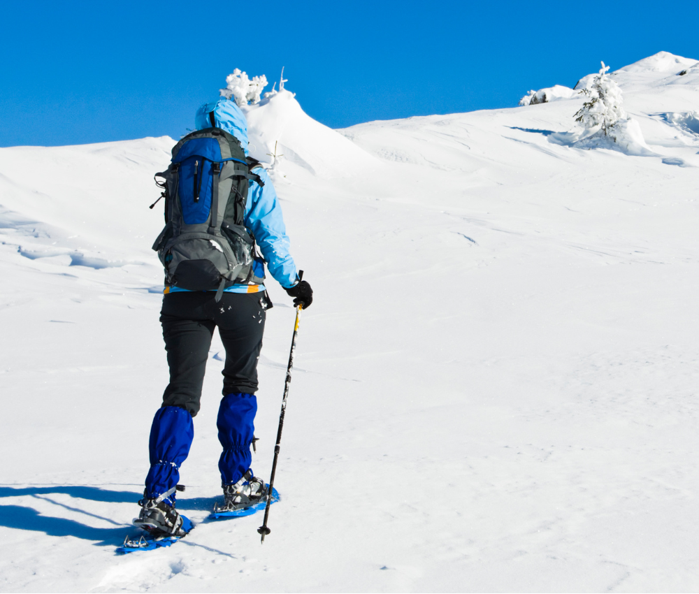 guided snowshoeing estes park co