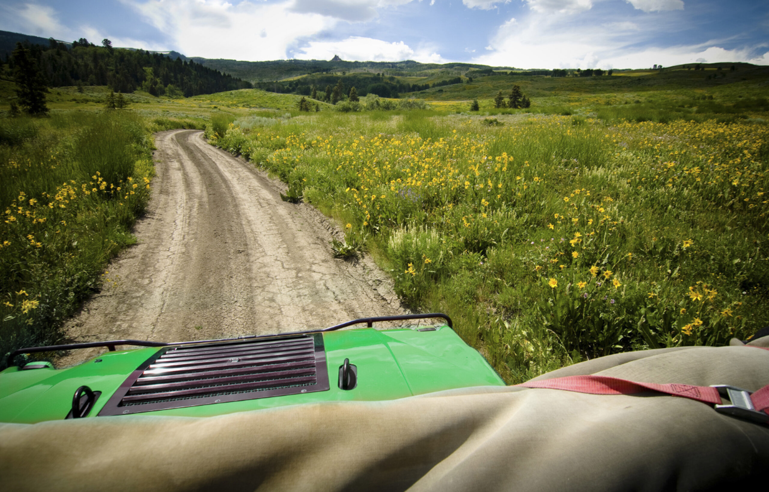 a green jeep drives along a dirt road