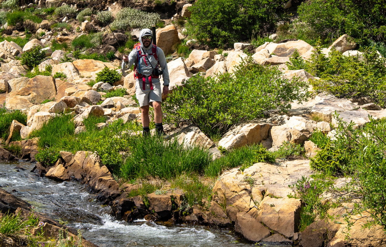fly fisherman stands on back of creek and fly fishes for trout