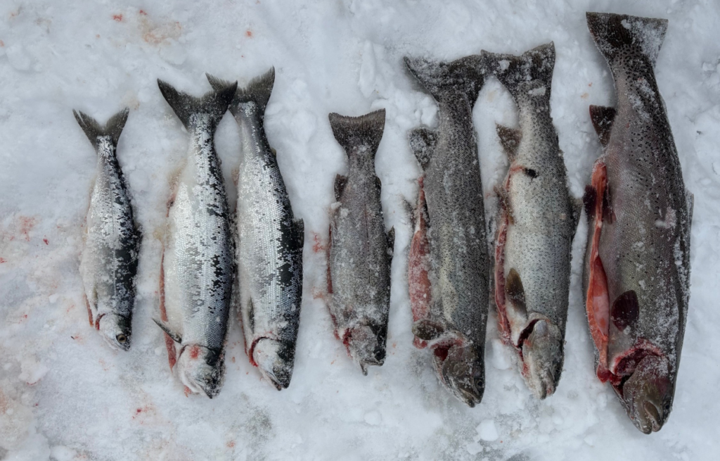 ice fishing