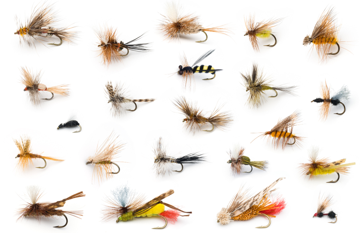 Dry flies, perfect for Cutthroat Trout