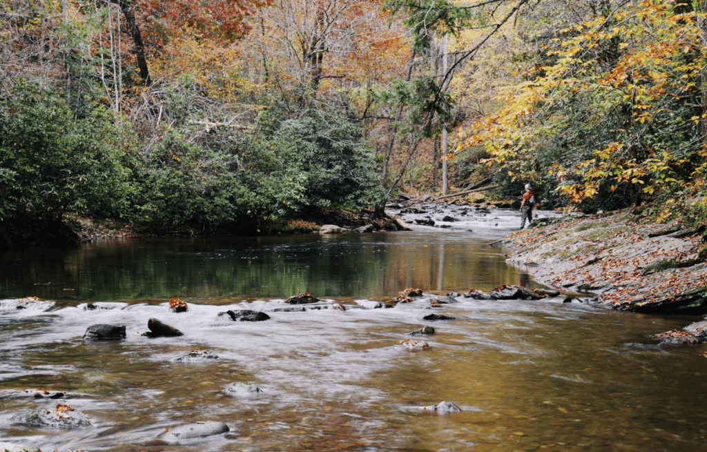River in great smoky mountains national park.